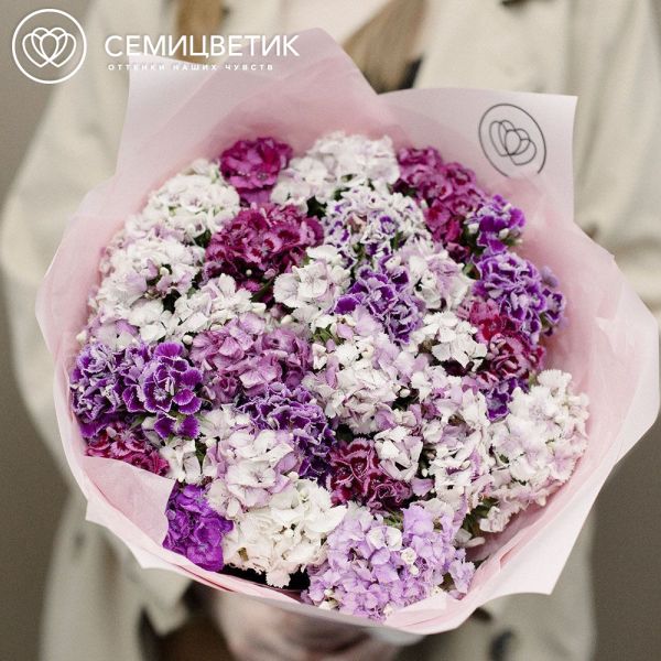 Букет из 35 турецких гвоздик микс