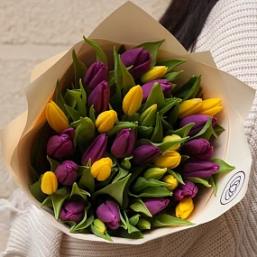 Букет из 35 желтых и фиолетовых тюльпанов в кремовой пленке