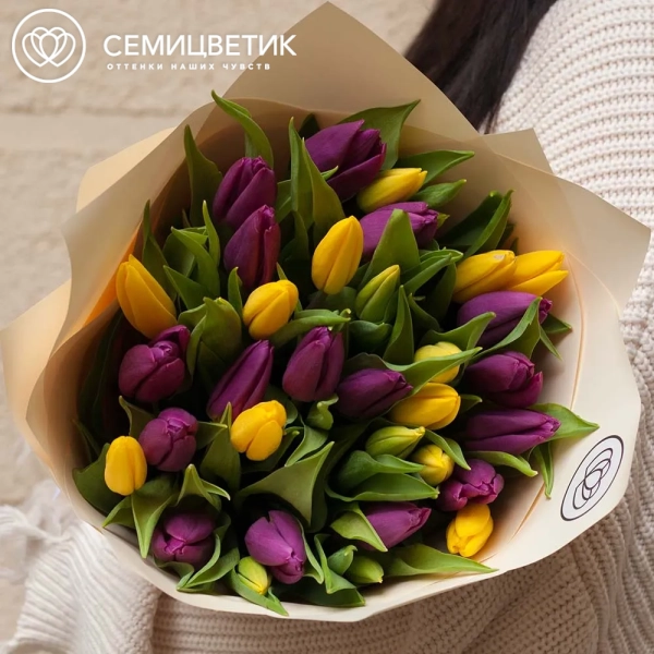 Букет из 35 желтых и фиолетовых тюльпанов в кремовой пленке