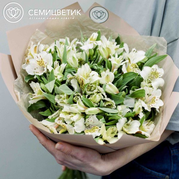 Букет из 23 кремовых альстромерий