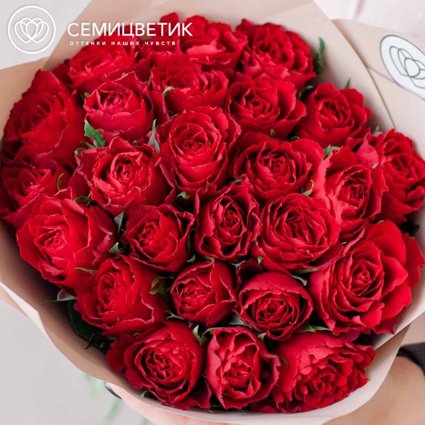 Букет из 25 красных роз (Кения) 40 см Standart в кремовой пленке