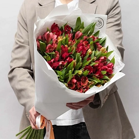 Букет из 25 красных и оранжевых альстромерий в белой пленке