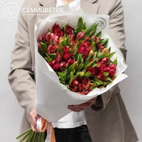 Букет из 25 красных и оранжевых альстромерий в белой пленке