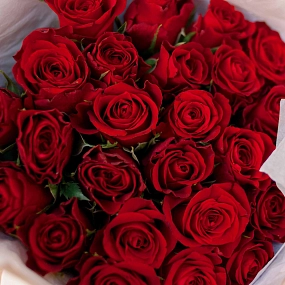 Букет из 35 красных роз 30 см (Кения) в кремовой пленке