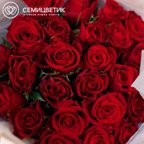 Букет из 35 красных роз 30 см (Кения) в кремовой пленке