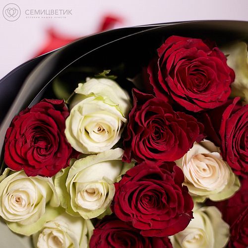 15 красных и белых роз (Кения) 40 см Premium