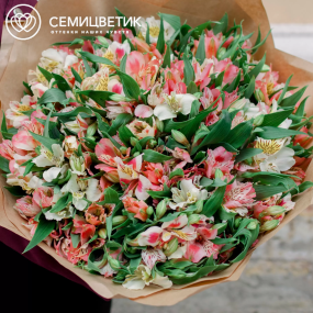 Букет из 51 альстромерии нежный микс в упаковке