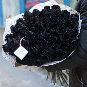 Букет из 51 черной розы 60 см (Эквадор)