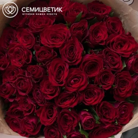 Букет из 45 красных роз 35-40 см (Кения) в кремовой пленке