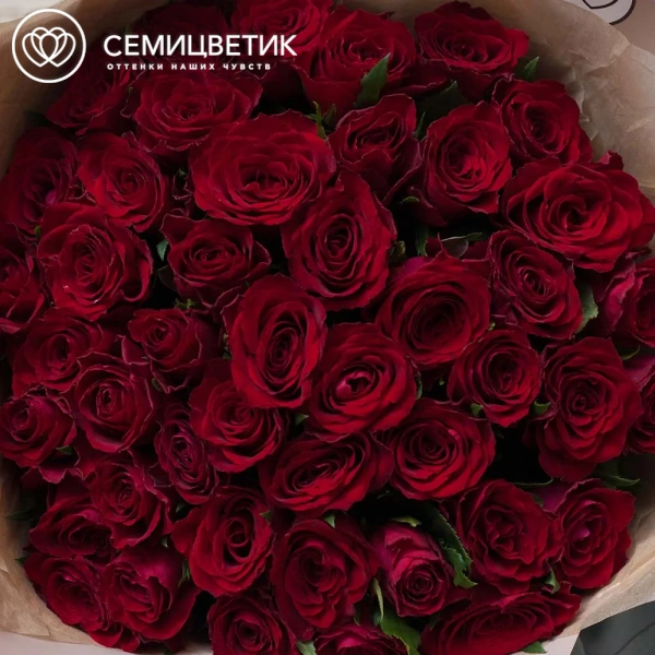 Букет из 45 красных роз 35-40 см (Кения) в кремовой пленке