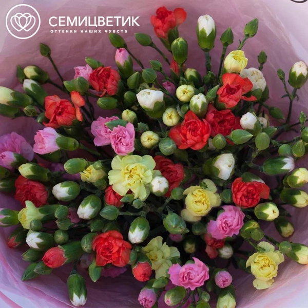 Букет из 21 кустовой гвоздики