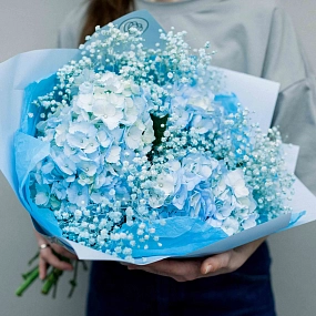 Букет из 3 голубых гортензий с голубой гипсофилой в голубой пленке