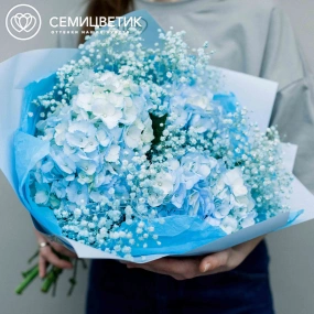 Букет из 3 голубых гортензий с голубой гипсофилой в голубой пленке