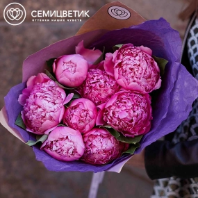 Букет из 7 ярко-розовых пионов Flemming Premium в упаковке