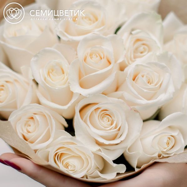 Букет из 15 белых роз Vendela 50 см (Эквадор) в кремовой пленке
