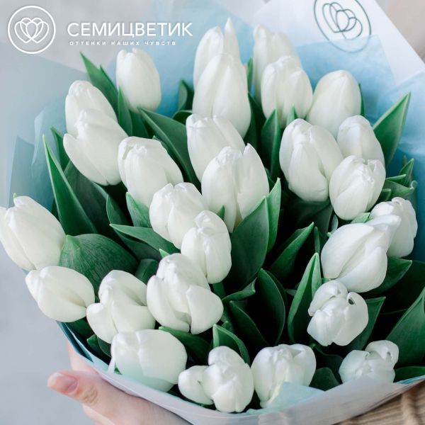Букет из 25 белых тюльпанов 40 см