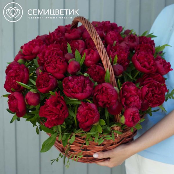 Композиция из 51 пиона Standart в корзине