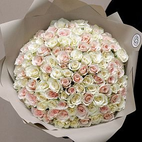 Букет из 101 белой и нежно-розовой розы 40 см (Кения) в кремовой пленке