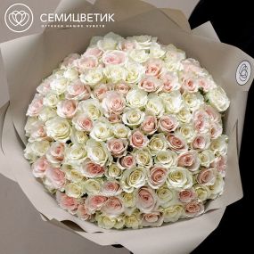 Букет из 101 белой и нежно-розовой розы 40 см (Кения) в кремовой пленке