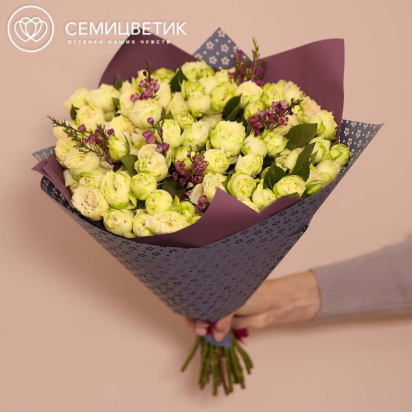 Букет из 25 бело-фисташковых кустовых пионовидных роз Blanchette 40 см с зеленью