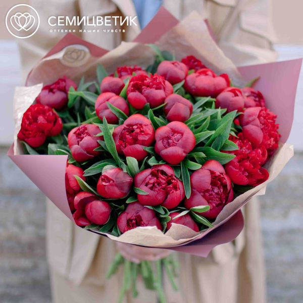 Букет из 25 бордовых пионов Standart