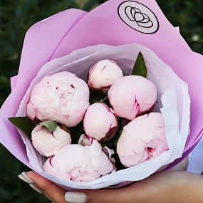 Букет из 7 розовых пионов Standart в розовой пленке