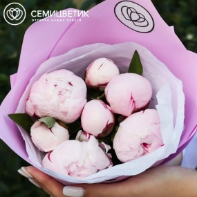 Букет из 7 розовых пионов Standart в розовой пленке