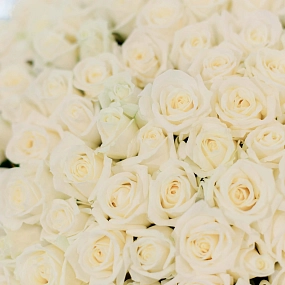 Букет из 101 белой розы 40 см (Россия) в кремовой пленке