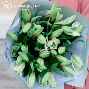 Букет из 7 белых лилий азиатка в голубой пленке