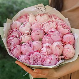 Букет из 25 розовых пионов Premium