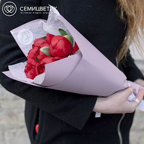 Букет из 5 бордовых пионов Premium