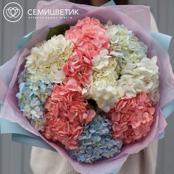Букет из 9 гортензий нежный микс