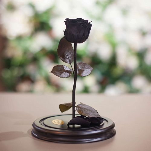 Черная роза в колбе 28 см