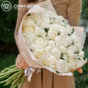 Букет из 51 белого пиона Premium в розовой пленке