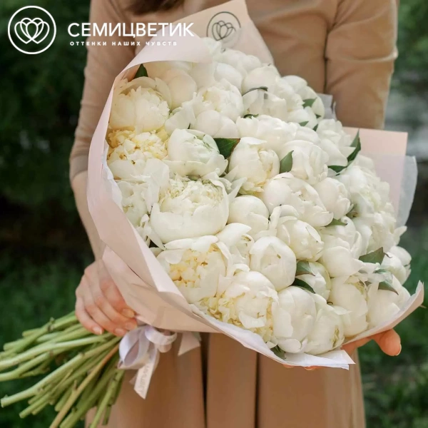 Букет из 51 белого пиона Premium в розовой пленке
