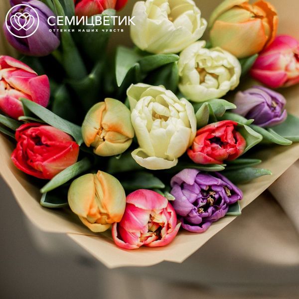 Букет из 15 пионовидных тюльпанов микс
