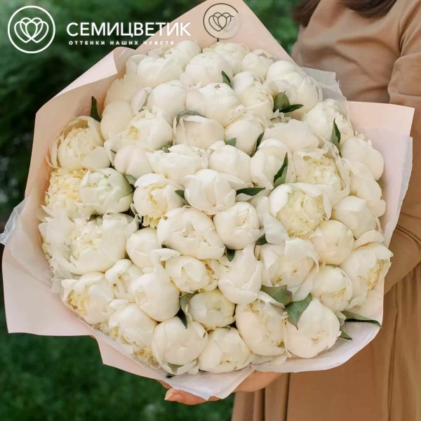 Букет из 51 белого пиона Premium в розовой пленке