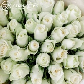 Букет из 41 белой розы 35-40 см (Кения) в белой пленке