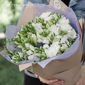 Букет из 25 белых фрезий