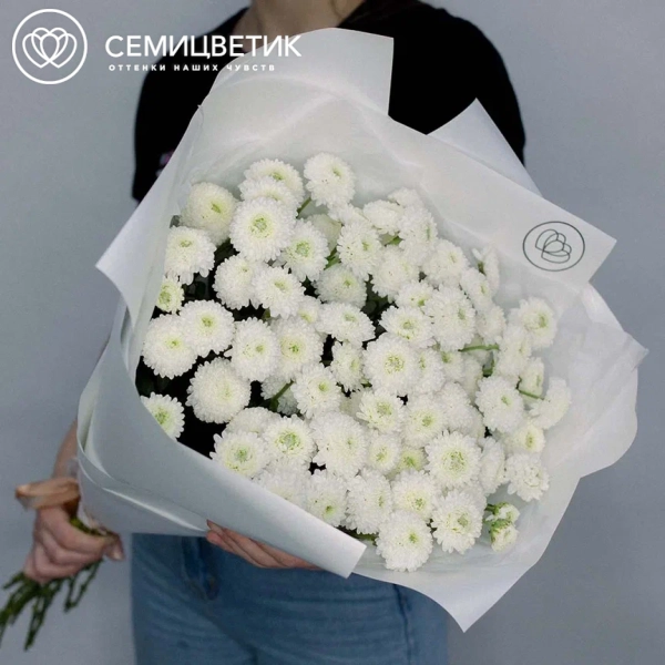 Букет из 25 белых кустовых хризантем