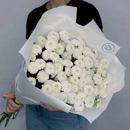 Букет из 25 белых кустовых хризантем