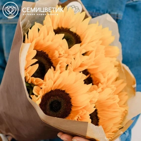 Букет из 7 подсолнухов в упаковке