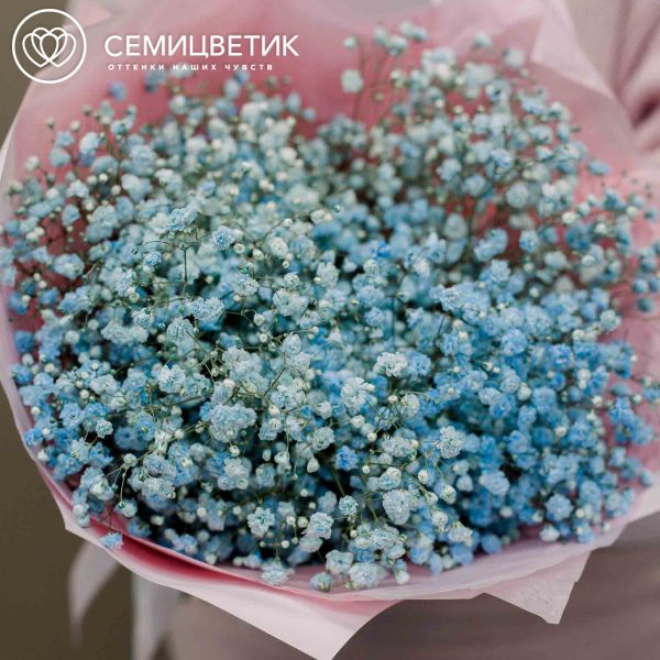 Букет из 7 голубых гипсофил