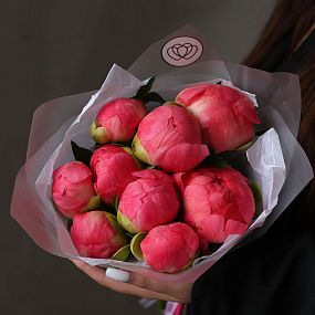 Букет из 9 коралловых пионов Coral Sunset Premium