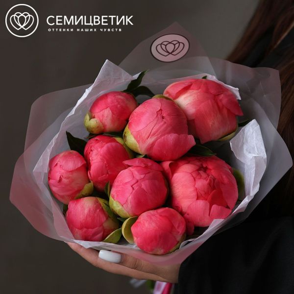 Букет из 9 коралловых пионов Coral Sunset Premium