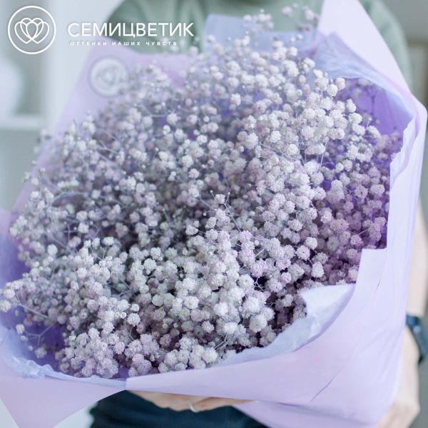 Букет из 15 сиреневых гипсофил