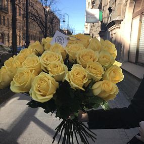 Букет из 25 желтых роз Tara 50 см (Эквадор)