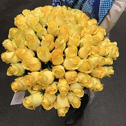 Букет из 51 желтой розы Tara 70 см (Эквадор)