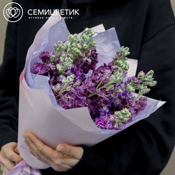 Букет из 11 махровых маттиол микс