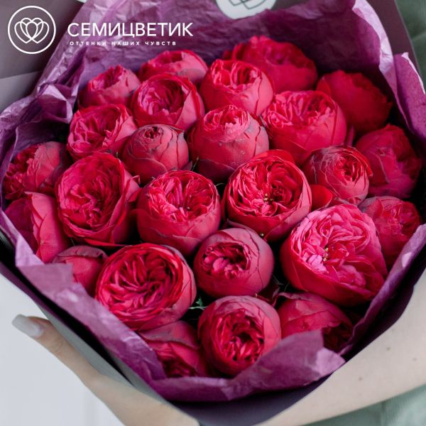Букет из 25 красных пионовидных роз Red Piano 40 см